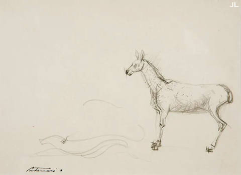 Cavalo
