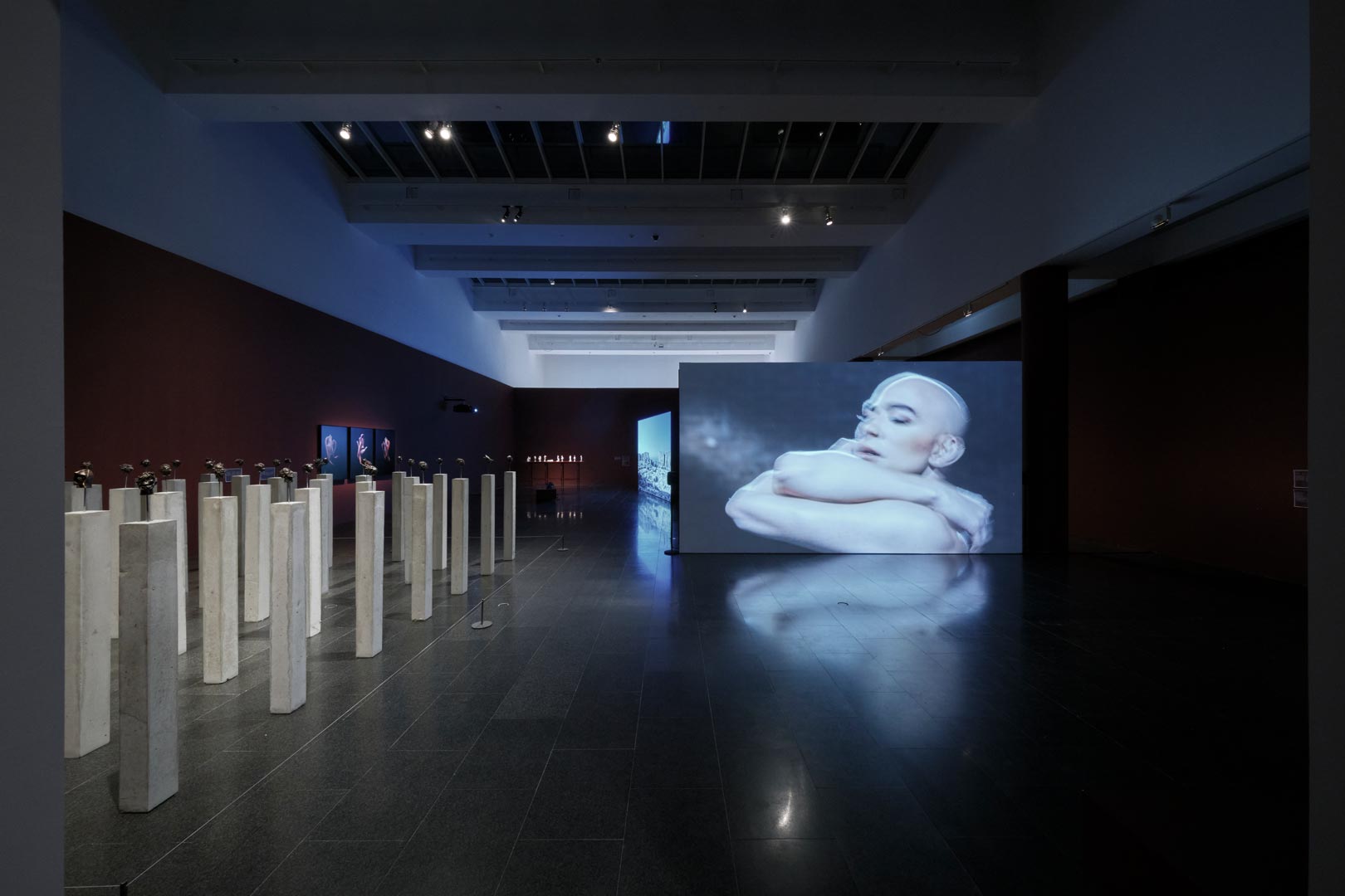 Carlos Motta - Vista da exposição