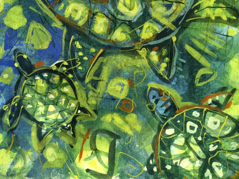 Tartarugas