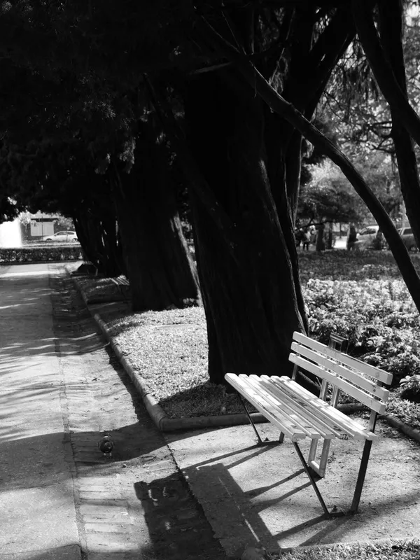 Stela Araujo & Marcos Wilke - Bh - a Praça