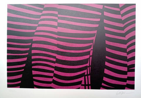 Composição pink