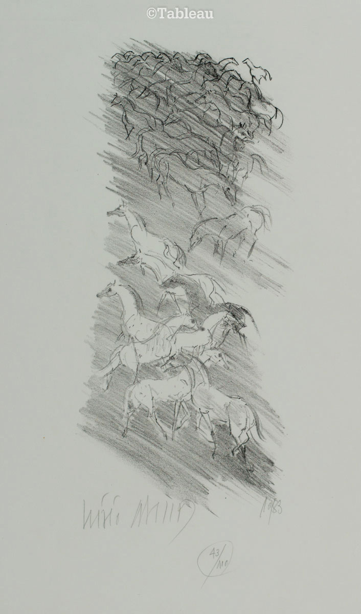 Cavalos
