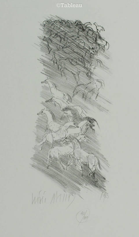 Cavalos