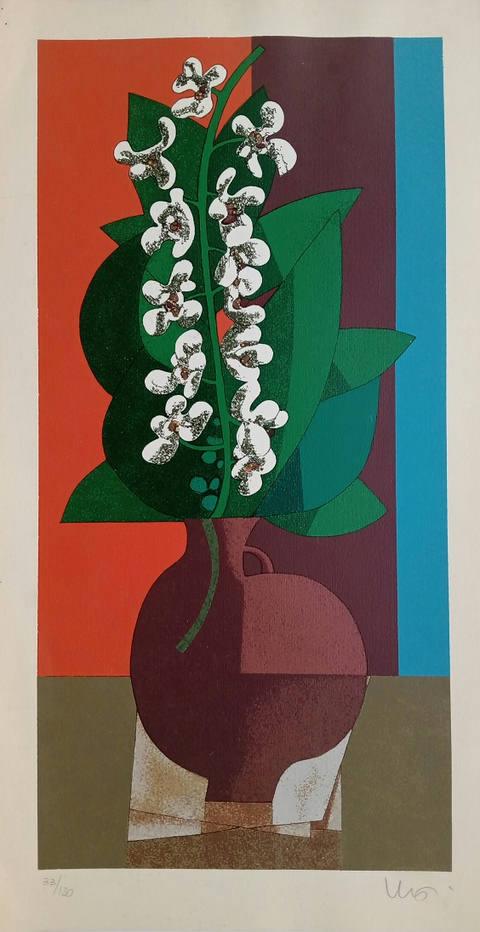 Orquídeas