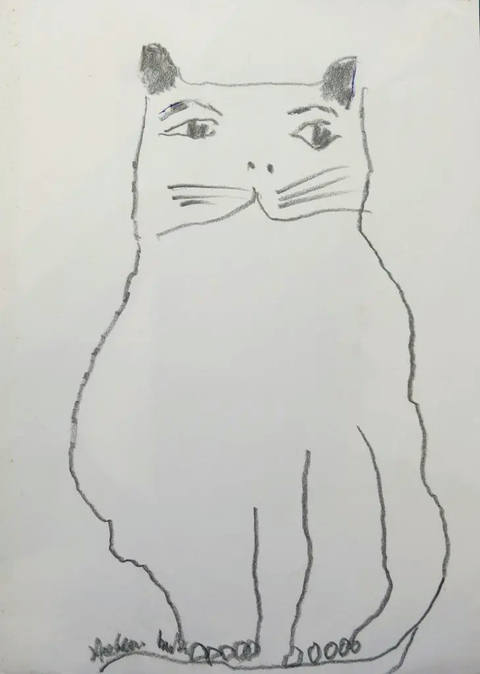 Gato