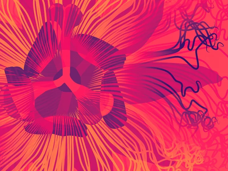 Passiflora III