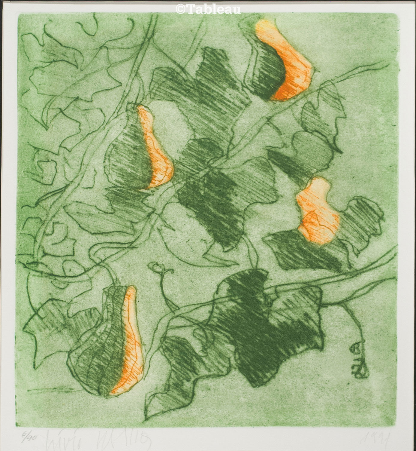 Lívio Abramo - Vegetação
