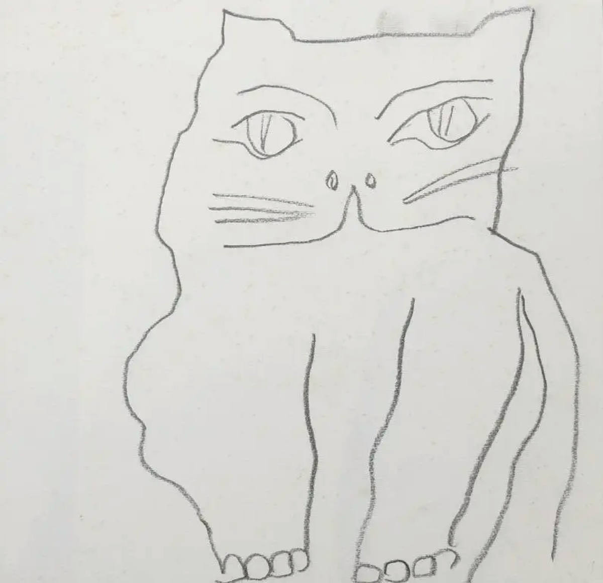 Gato