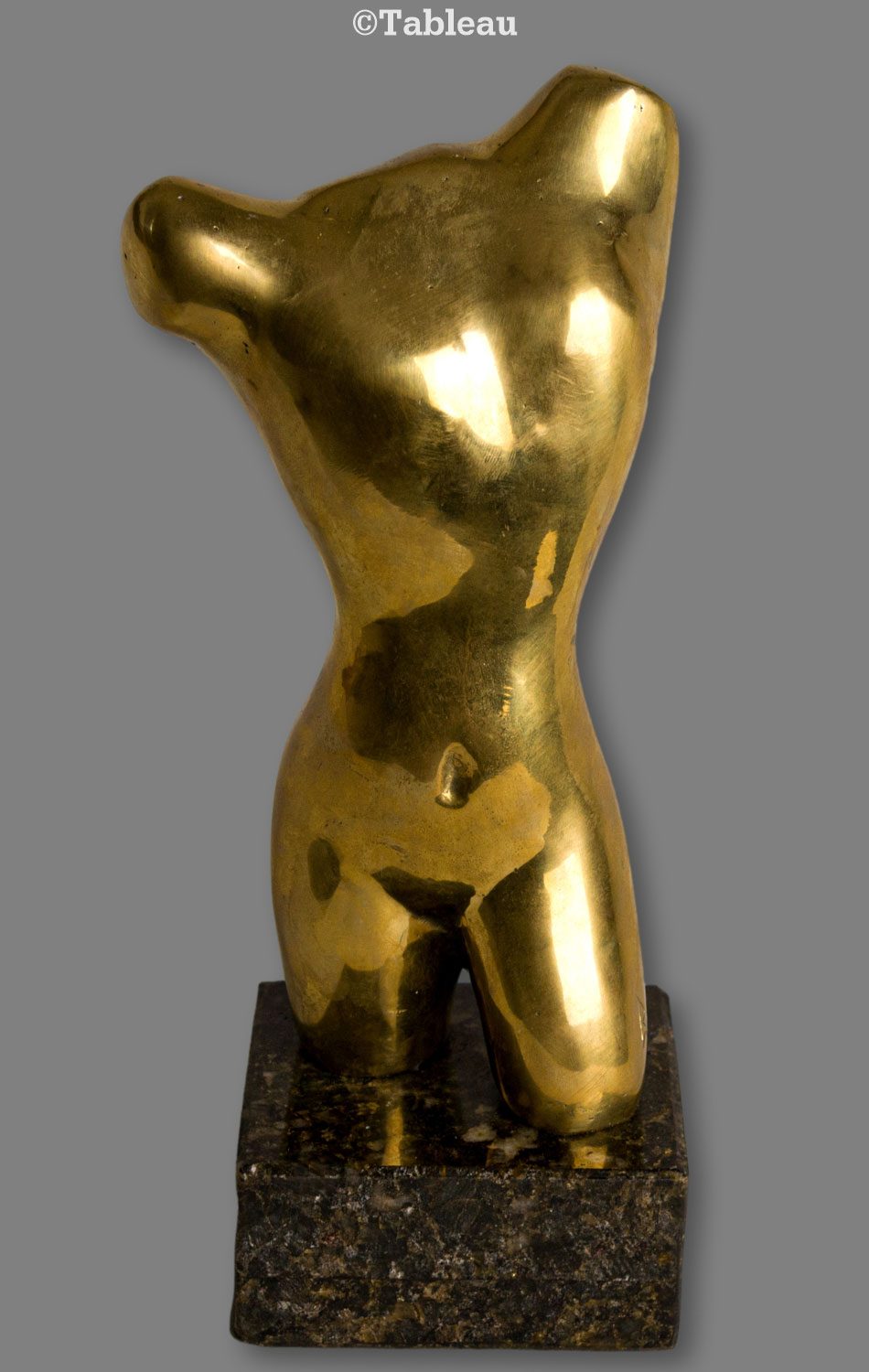 Torso