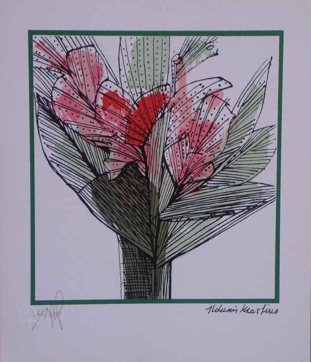 Flores