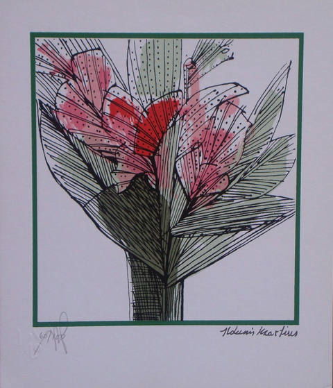 Flores