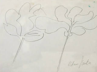 Aldemir Martins - Flores