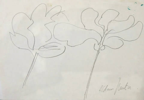 Flores
