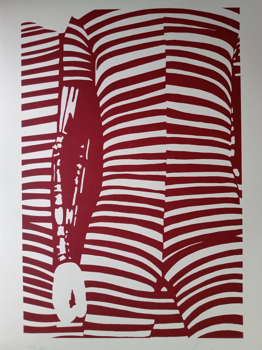 Kleber Ventura - Corpo vermelho