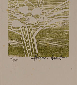 Aldemir Martins - Flores