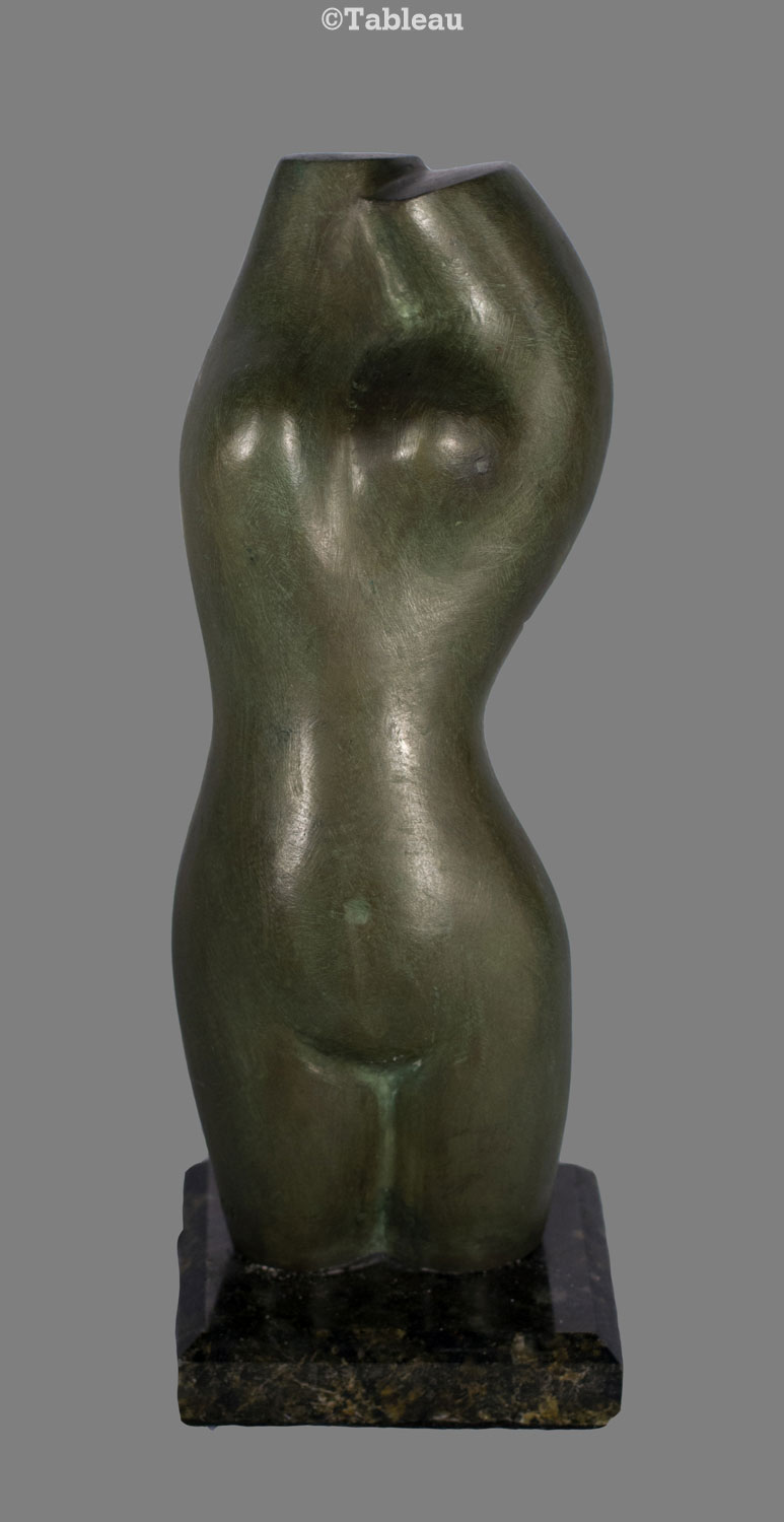 Torso