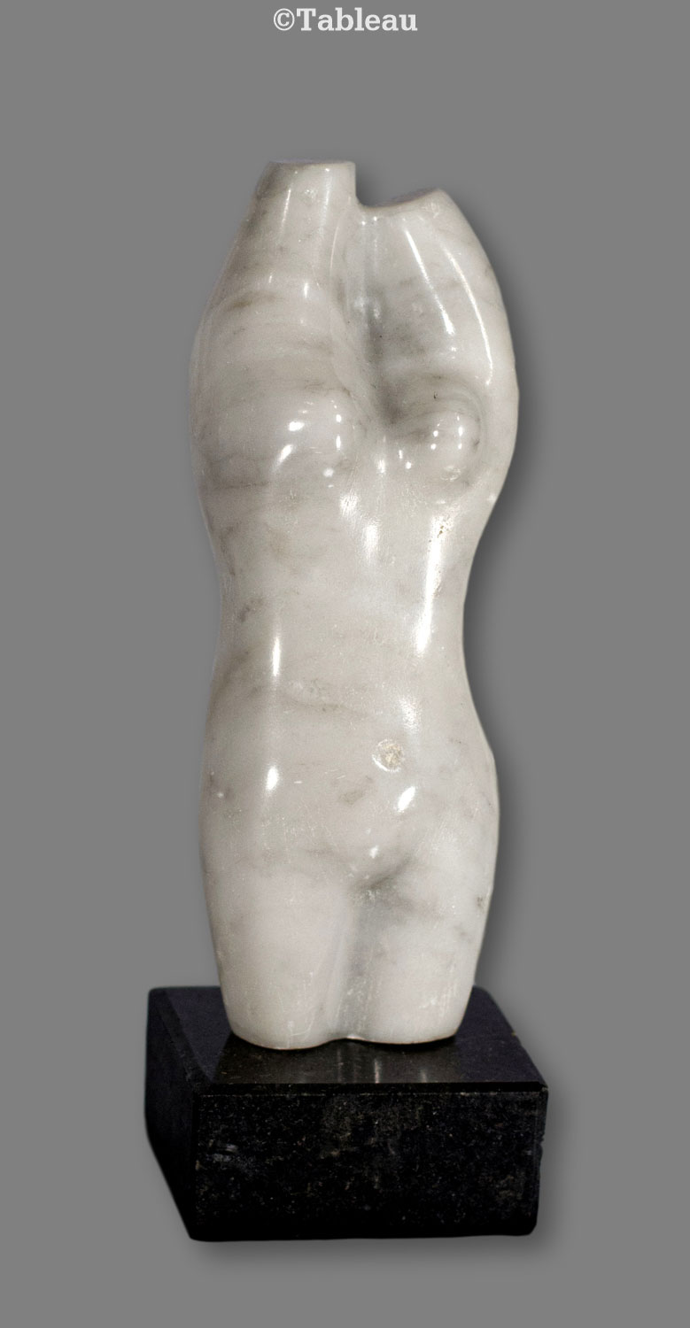 Torso