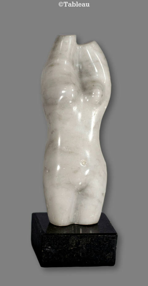 Torso