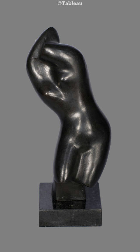 Torso