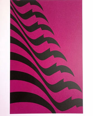 Kleber Ventura - Bandeira pink