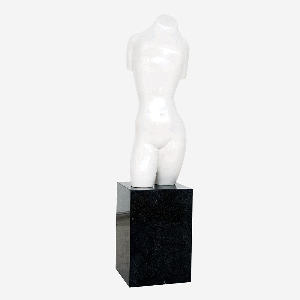 Torso
