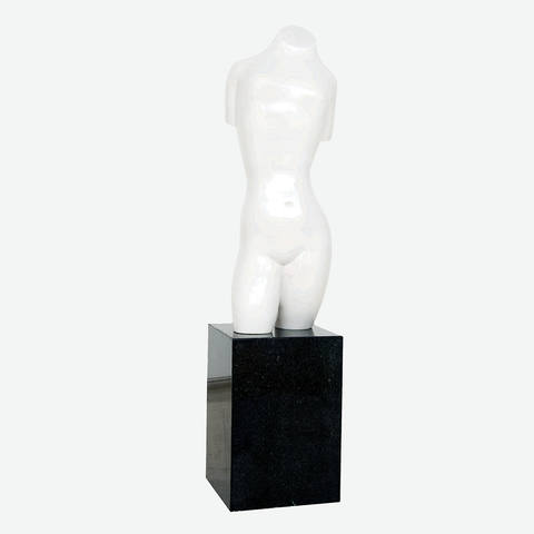 Torso