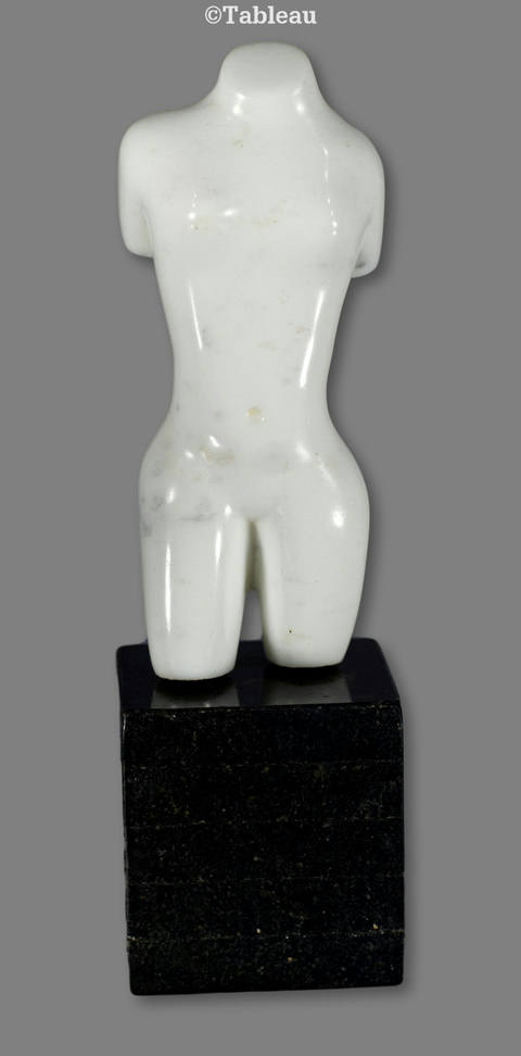 Torso