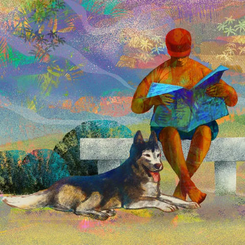 Domingo no Parque com Pet IV