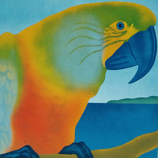 Claudio Tozzi - Papagaio