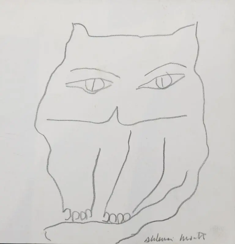 Gato