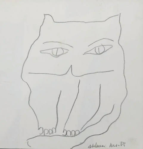 Gato