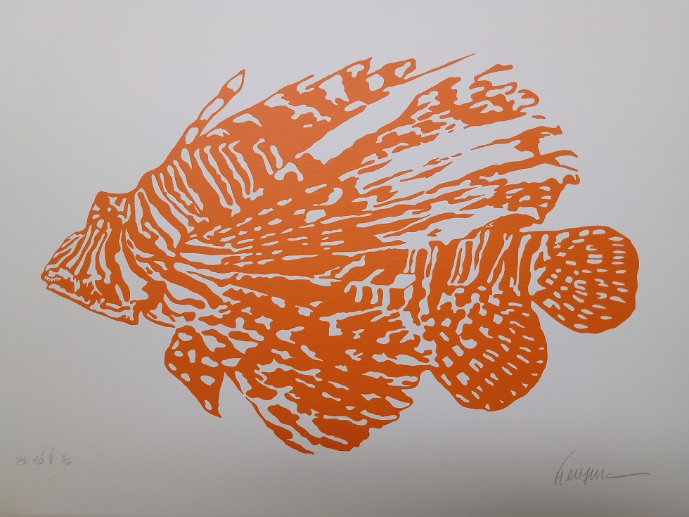 Kleber Ventura - Peixe Laranja