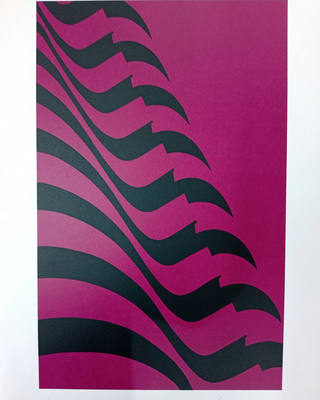 Kleber Ventura - Bandeira pink