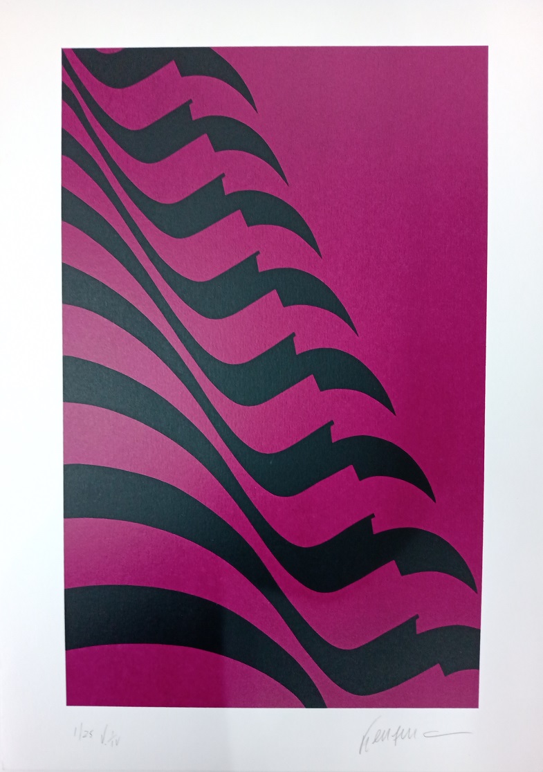 Bandeira pink