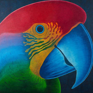 Claudio Tozzi - Papagaio