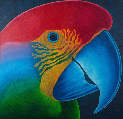 Papagaio