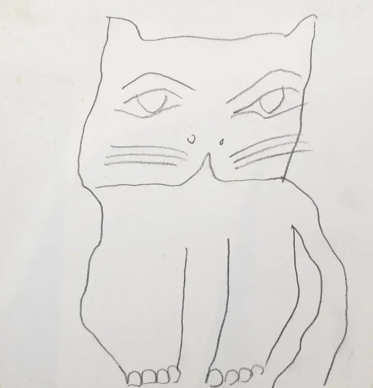 Gato