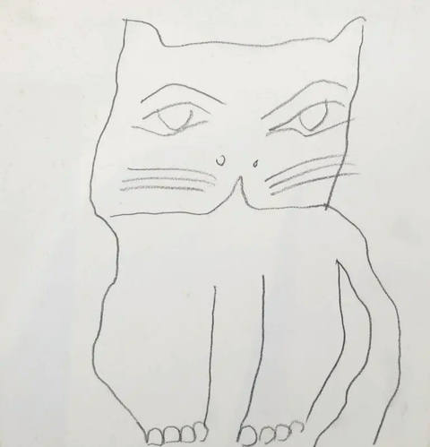 Gato