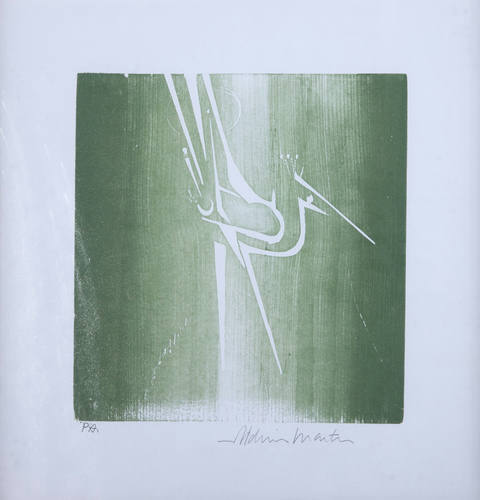 Pássaro Verde