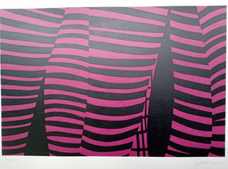 Kleber Ventura - Pernas pink