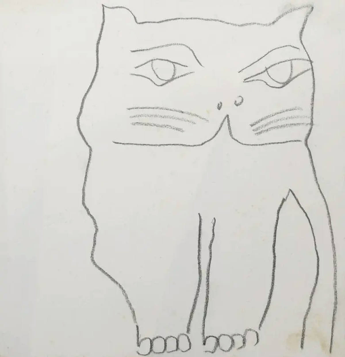 Gato