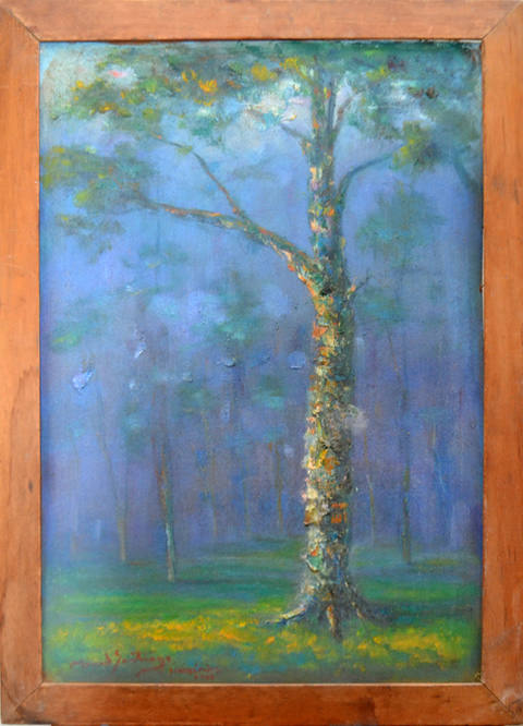 Paisagem com Cascudas