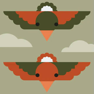 Juarez Machado - Birds Fly