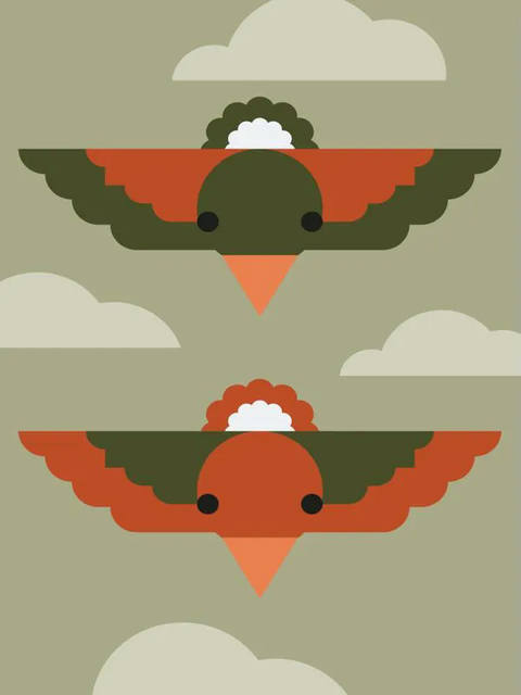 Birds Fly
