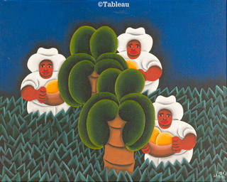 José Sabóia - Colheita