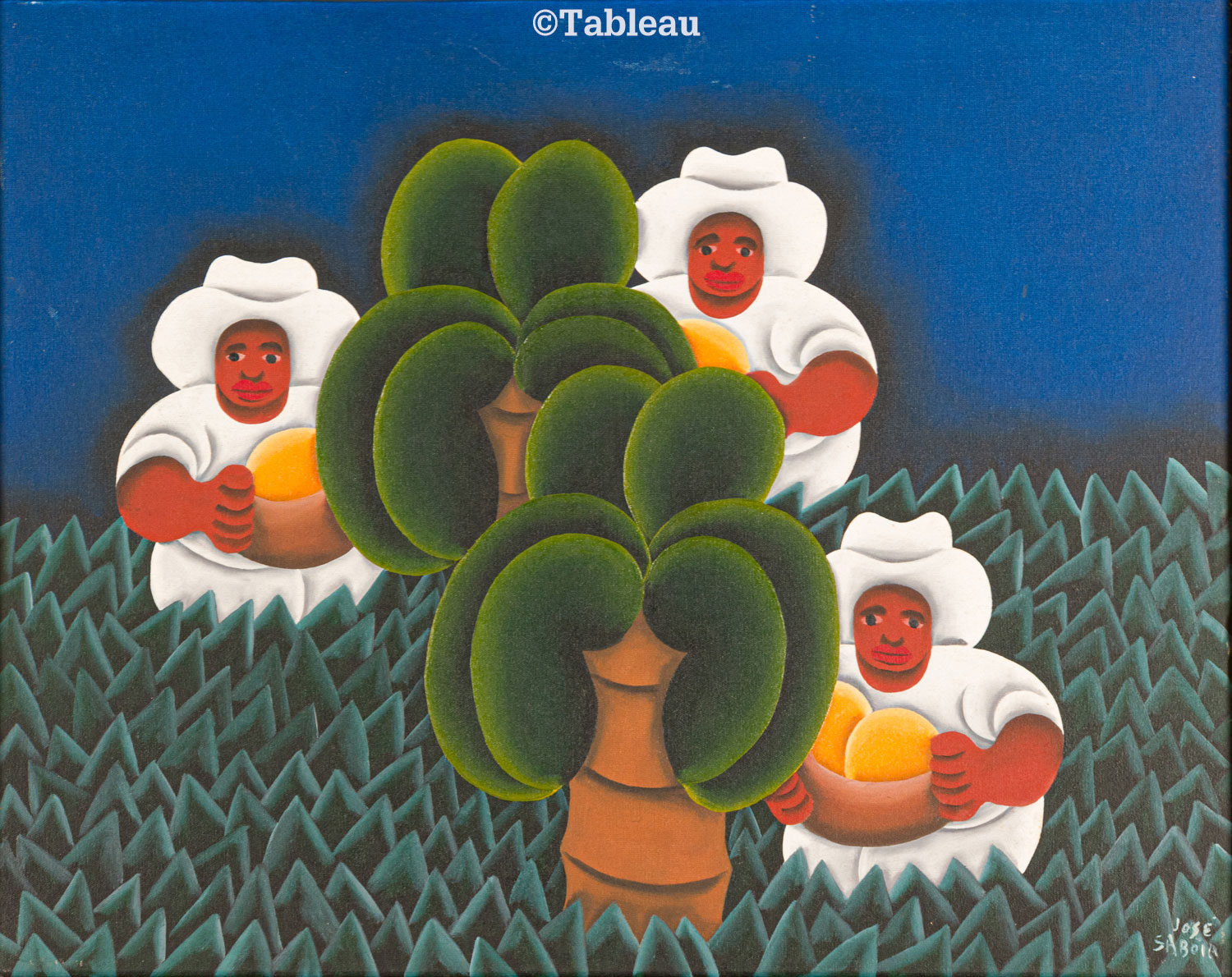 José Sabóia - Colheita