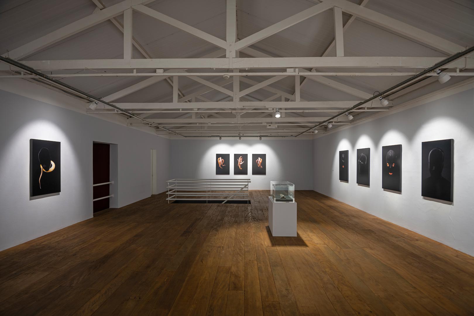 Carlos Motta - Vista da exposição