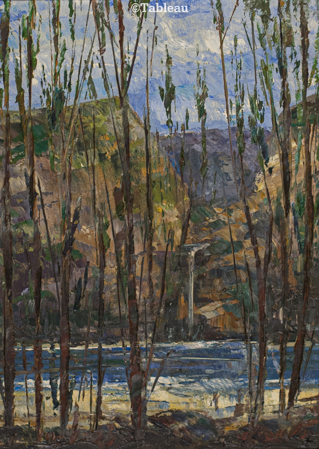 José Paulo Moreira da Fonseca - Cachoeira
