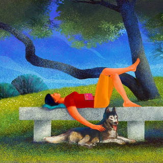 Nato Gomes - Domingo no Parque com Pet I
