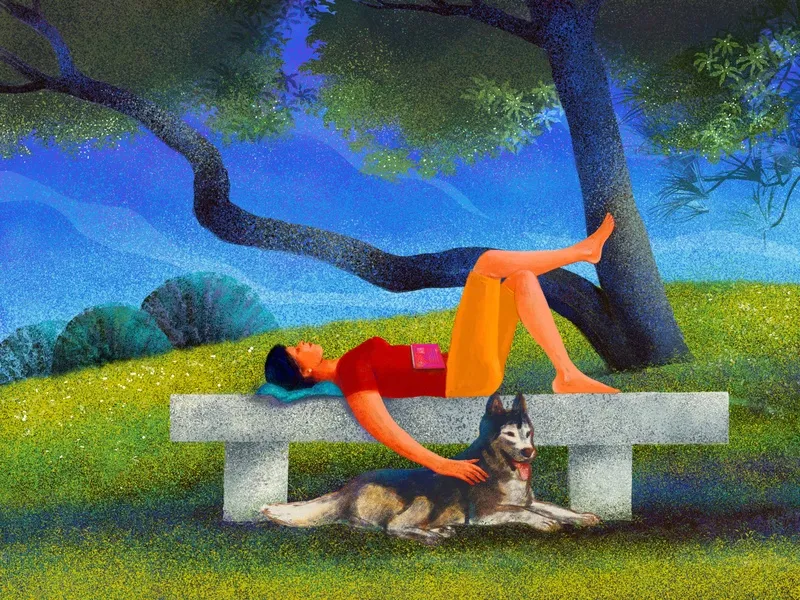 Nato Gomes - Domingo no Parque com Pet I